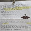 필립보농장 | 3월 봄이 옵니까