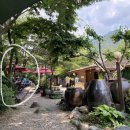 성골촌 | [단양맛집] 남천 계곡 오리백숙 맛집 "성골촌 펜션가든"