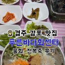 푸른바다물회 | 경주 맛집 푸른바다회센타 물회, 전복죽 맛보고 온 후기