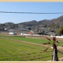 송곡2리 이미지