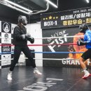 일산 Box-1 복싱 이미지