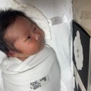 스케치화 | [출산일기] 성화동 하안유 산부인과/산후 조리원. 제왕수술 후 9박 10일의 조리원 일기.