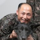 동물의 왕국 이미지