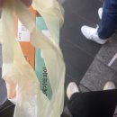 웅이목장 | 고기국수 현지맛집 미리네국수 / 로우템포 커피 / 조아렌트카 반납 후기 / 제주공항 마음샌드 구입방법