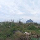 상모리-16 이미지