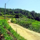 연곡리 농장 이미지