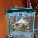 지투존오락실 이미지