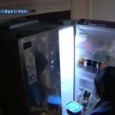 펫맘애 이미지