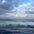 완도 파인비치 호텔 사우나 | 강릉 세인트존스호텔 수영장 겨울 버블파티 이용 후기 (파인인티니티풀)