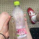 시마 모텔 | .ᐟ 푸딩을 먹어보자 .ᐟ