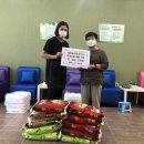 라파힐링 이미지