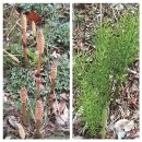 나무와 친해지기 이미지