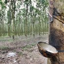 들길농장 이미지