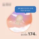 임신기록 14. 15~16주차 일상🌱 당일치기 천안여행, 시스터액트 뮤지컬 관람, 2차 기형아 검사(성별 확인!)