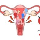 해뜨는약국 이미지