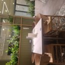 (주)닥터로빈 강남점 | [강남역] 강남에서 주말 쾌적하게 청첩장 모임하기 좋은 닥터로빈 서초점 후기
