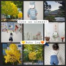 카페138일 | 138일~150일 육아일기 아이 성장일기(가을단풍 산책, 백일사진 스튜디오, 화담숲나들이)