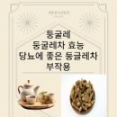 둥굴레차 효능 동글레차 카페인 부작용 물 대신 마셔도 될까? 이미지