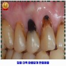 닥터손치과보철과치과의원 이미지