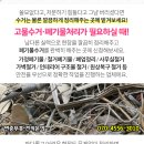 성진분체