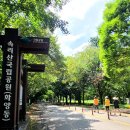 소백계곡민박 이미지