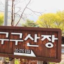 구구산장 단양숙소에서 힐링하세요