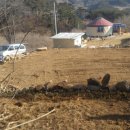 숲속 게르 하우스 이미지