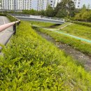 갈매천변 이미지