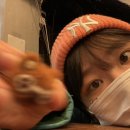보f 이미지