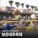 보은 대추 축제 이미지