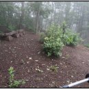 왕산면사무소 이미지