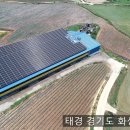 다음태양광발전소 이미지