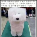 미람화장품 | 식탐지옥