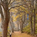 이현동행정복지센터 이미지