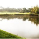 독천 낙지명소2 이미지