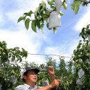 북진농장 이미지