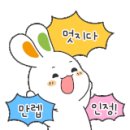 김은미애견미용 이미지