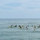 해안중학교 이미지