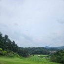 은화삼 | 은화삼CC 7월 라운딩｜회원제 골프장 티박스·페어웨이 상태 후기