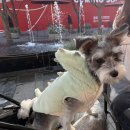 피에스티캠프입시학원 | 입시 학원 강사에서 백수까지...