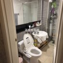 원성준영상의학과동물병원 이미지