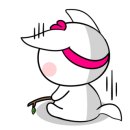 비엔제이 이미지