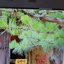 울산옹기박물관 이미지