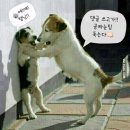 길다방 이미지