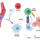 교모세포종 탐지 대식세포 작용기전 규명,스마트폰 전자파는 뇌종양 교모세포종을 유발시킬수 있습니다.비이타민 beetamin !!! 이미지