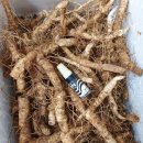 황정농장 이미지