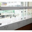 놀뫼애견 이미지