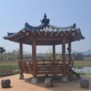 옥천 상계 체육시설 | 충청북도 봄꽃여행 가볼만한곳 옥천구읍 벚꽃축제 옥천군민 걷기대회 상계체육시설, 육영수생가 동네한바퀴