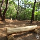 국립천관산자연휴양림 이미지