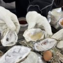 세븐일레븐 인천간석2호점 | 구월동 간석사거리 겨울 제철음식 굴 맛집 바다향 석화찜 평일 방문후기